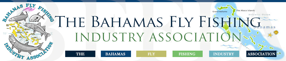Bahamas Fly Fishing Industry Association